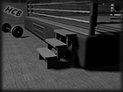 Boxing_Ring_Stairs_Home (11K)